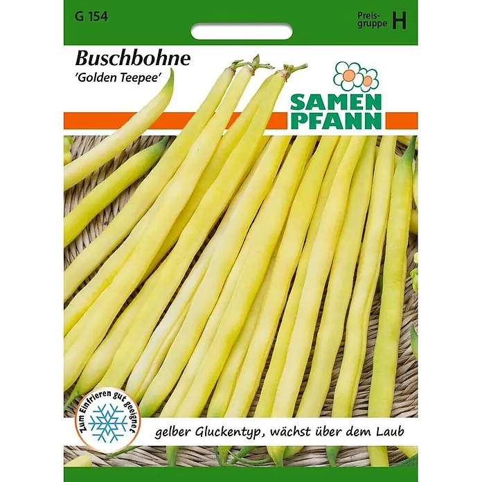 Samen Pfann Saatgut Buschbohne, Golden Teepee - Phaseolus vulgaris, 6,2 g - Gelbe Buschbohnen der Sorte 'Golden Teepee', gut zum Einfrieren geeignet.