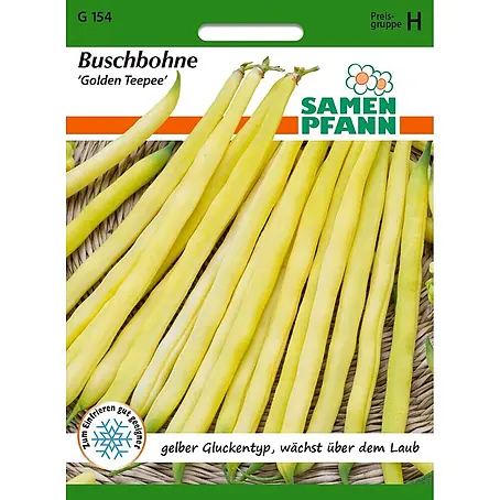 Samen Pfann  Saatgut Buschbohne, Golden Teepee