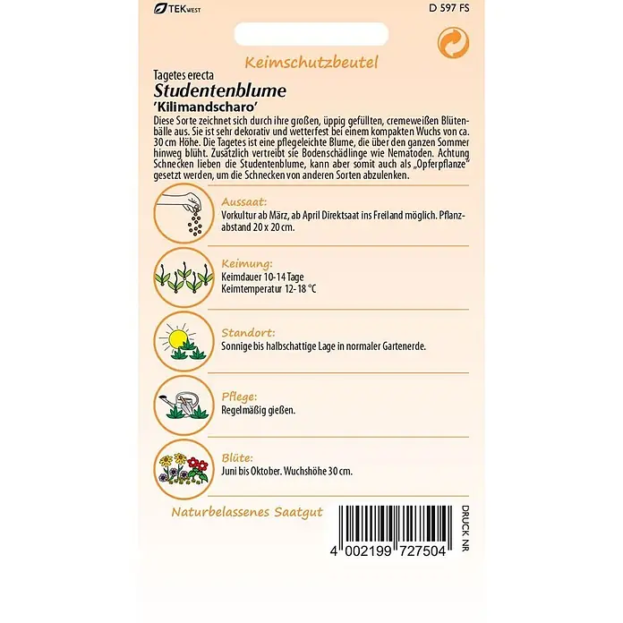 Samen Pfann Saatgut Tagetes, Kilimandscharo - Tagetes erecta, 1,6 g - Samenpackung für Studentenblume 'Kilimandscharo' (Tagetes erecta) mit Pflanzanleitung, Symbolen und Barcode.