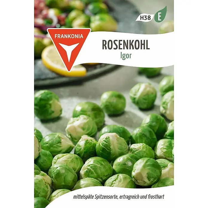 Frankonia Samen Saatgut Rosenkohl, Igor - Brassica oleracea, 1,44 g - Frische grüne Rosenkohl-Röschen. Frankonia Sorte 'Igor', mittelspäte Spitzensorte, ertragreich und frosthart.