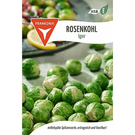 Frankonia Samen  Saatgut Rosenkohl, Igor
