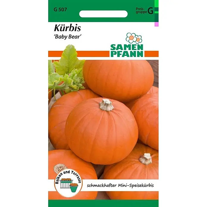 Samen Pfann Saatgut Kürbis, Minikürbis, Baby Bear - Cucurbita pepo, 1,6 g - Samenpäckchen 'Kürbis Baby Bear' mit kleinen orangefarbenen Speisekürbissen, geeignet für Balkon/Terrasse.