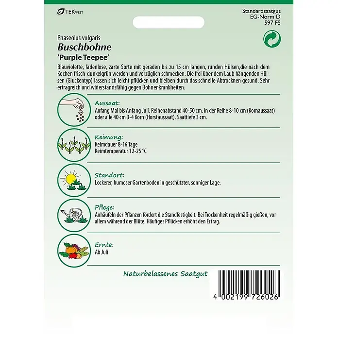Samen Pfann Saatgut Buschbohne, Purple Teepee - Phaseolus vulgaris, 6,2 g - Grüne Samenpackung für 'Purple Teepee' Buschbohnen mit Text und Piktogrammen.