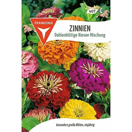 Frankonia Samen  Saatgut Zinnie, Dahlienblütige Riesen Mischung