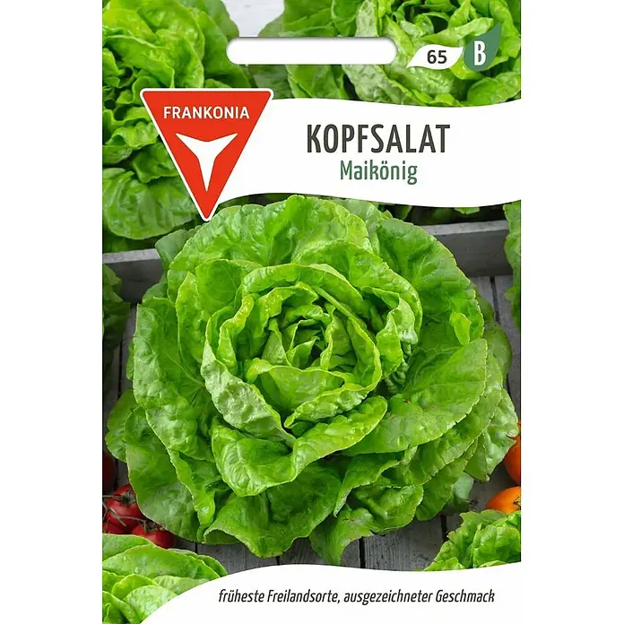 Frankonia Samen Saatgut Kopfsalat, Maikönig - Lactuca sativa, 1,48 g - Samenpackung für Frankonia Kopfsalat 'Maikönig', mit einem frischen grünen Salatkopf und Produktinformationen.
