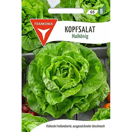 Frankonia Samen  Saatgut Kopfsalat, Maikönig