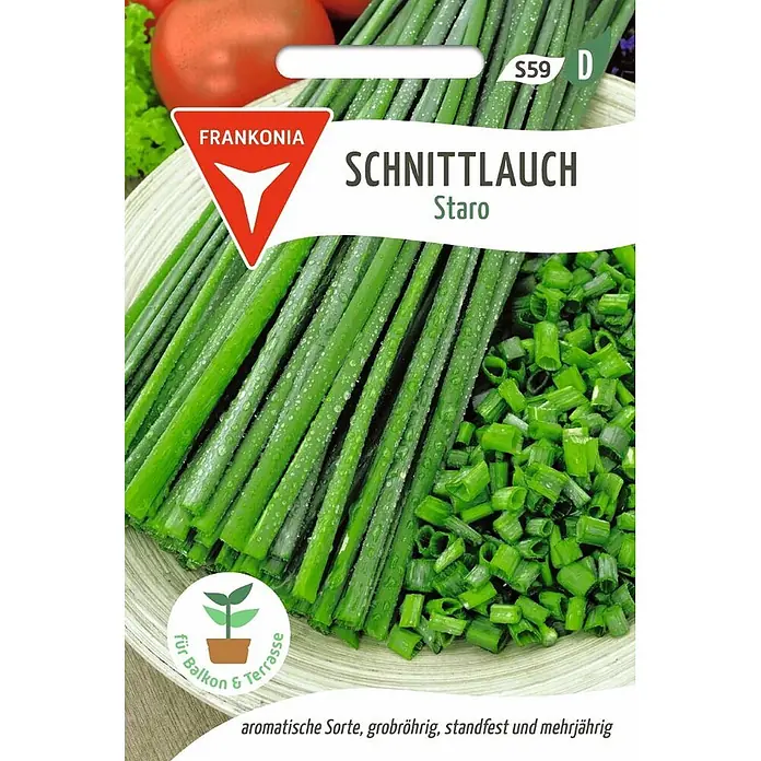 Frankonia Samen Saatgut Schnittlauch, Staro - Aium schoenoprasum, 1,47 g - Frankonia Schnittlauch 'Staro' Samenpackung mit frischem Schnittlauch. Aromatische, grobröhrige, mehrjährige Sorte für Balkon und Terrasse.