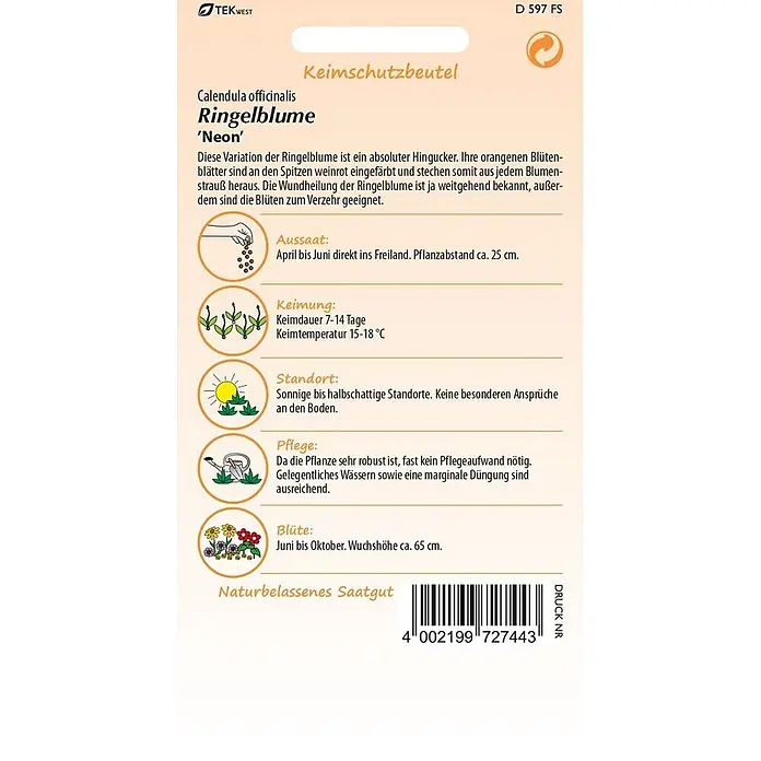 Samen Pfann Saatgut Ringelblume, Neon - Calendula officinalis, 1,6 g - Samenpäckchen für Ringelblume 'Neon' mit Pflanzanleitung und Barcode.
