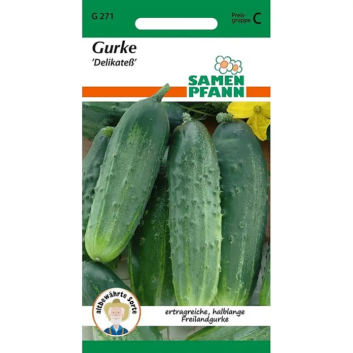 Samen Pfann Saatgut Einlegegurke, Delikateß - Cucumis sativus - Samen Pfann Gurke 'Delikateß' Samenpackung mit grünen Gurken.