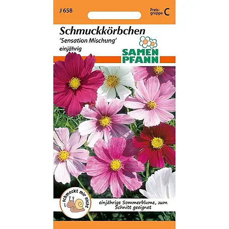 Samen Pfann  Saatgut Schmuckkörbchen, Cosmea Mischung