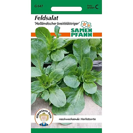 Samen Pfann Saatgut Feldsalat, Holländischer Breitblättriger