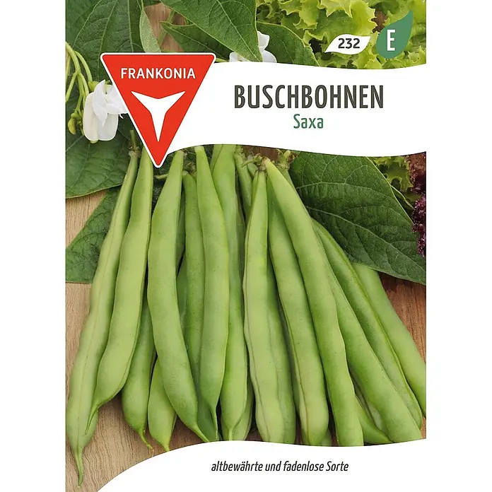 Frankonia Samen Saatgut Buschbohne, Saxa - Phaseolus vulgaris, 5,67 g - Haufen frischer, grüner Buschbohnen Saxa, eine bewährte und fadenlose Sorte.