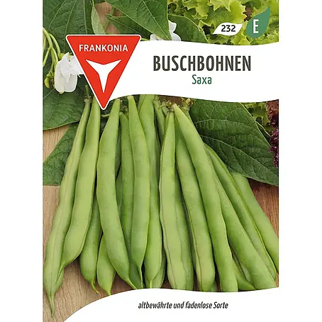 Frankonia Samen  Saatgut Buschbohne, Saxa