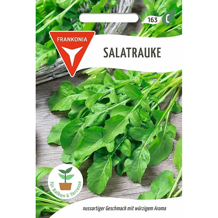 gratis saatgut 2024 Bio-Mangold (Grün) – Little Plants