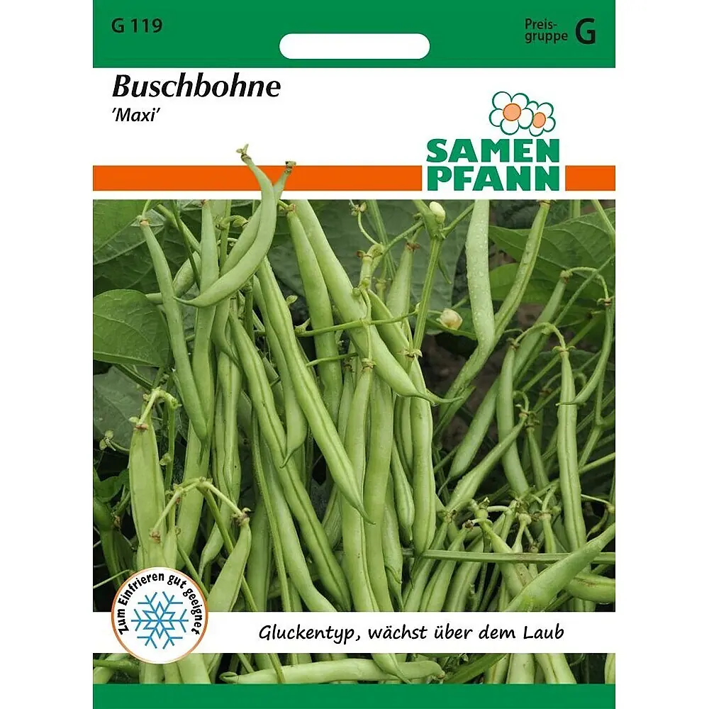Samen Pfann Saatgut Buschbohne, Maxi online kaufen bei BAUHAUS