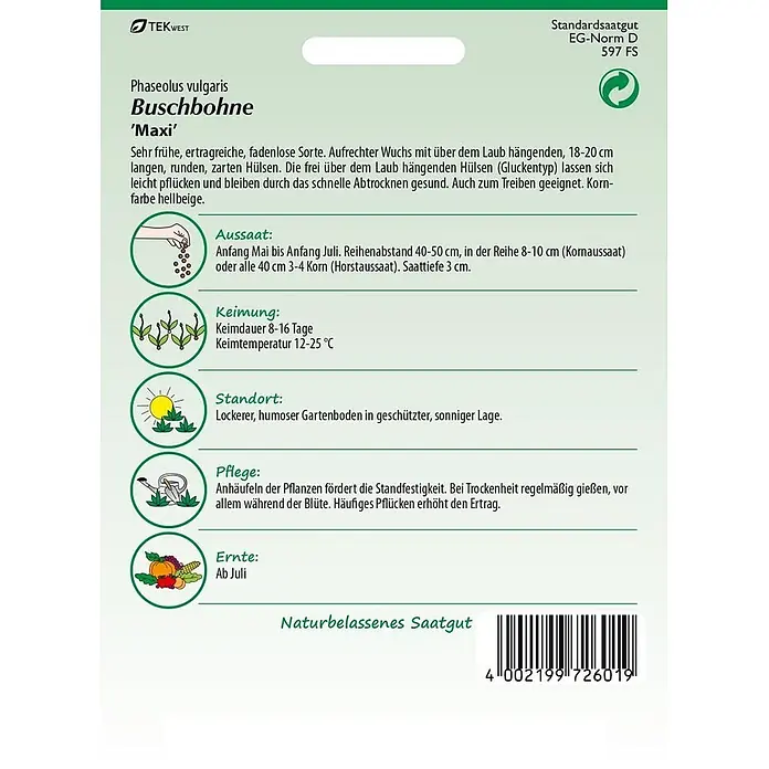 Samen Pfann Saatgut Buschbohne, Maxi - Phaseolus vulgaris, 6,2 g - Grün-weiße Samentüte für Buschbohnen 'Maxi' mit Pflanzanleitung und botanischen Informationen.