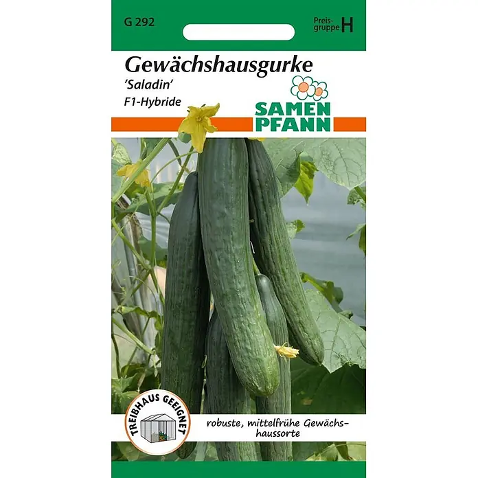 Samen Pfann Saatgut Salatgurke, Saladin F1 - Cucumis sativus, var. Saladin F1, 1,6 g - Samtüte für Gewächshausgurke 'Saladin'. Grüne Verpackung mit reifen Gurken an einer Pflanze.