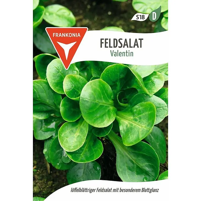 Frankonia Samen Saatgut Feldsalat, Valentin - Valerianella locusta, 1,68 g - Feldsalat 'Valentin' mit löffelblättrigen, glänzenden grünen Blättern.
