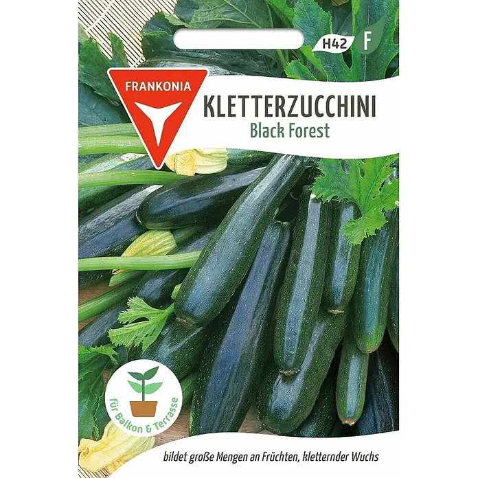 Frankonia Samen Saatgut Kletterzucchini, Black Forest F1 - Cucurbita pepo - Frankonia Kletterzucchini Black Forest Samenpackung, mit reifen Zucchini und Hinweisen für Balkon & Terrasse und kletternden Wuchs.