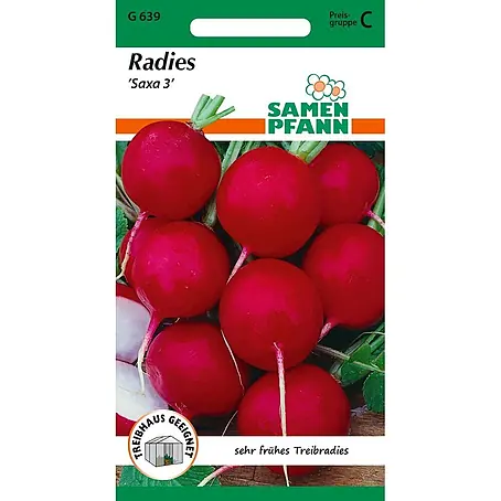 Samen Pfann  Saatgut Radies, Saxa 3
