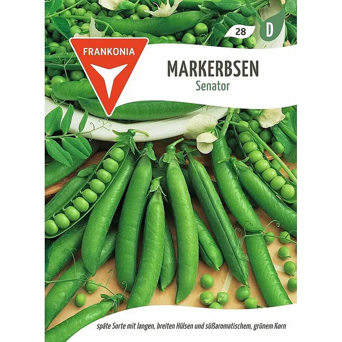 Frankonia Samen Saatgut Markerbse, Senator - Pisum sativum, 5,67 g - Grüne Markerbsen-Schoten, teilweise geöffnet, mit süßen, grünen Erbsen der Sorte Senator und lose Erbsen.