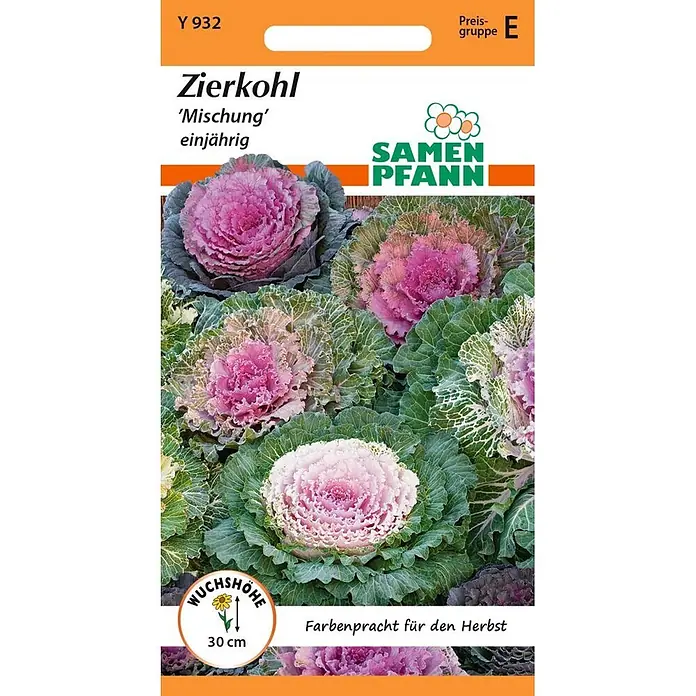 Samen Pfann Saatgut Zierkohl, Mischung - Brassica oleracea, 1,6 g - Samenpäckchen für Zierkohl 'Mischung', zeigt leuchtend pinke, lila und grüne einjährige Pflanzen mit 30 cm Wuchshöhe für Herbstfarbenpracht.