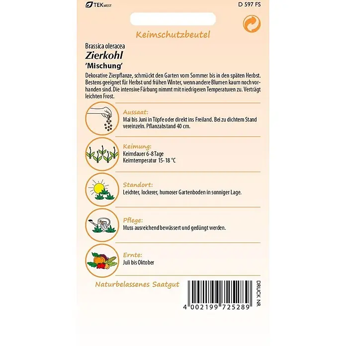 Samen Pfann Saatgut Zierkohl, Mischung - Brassica oleracea, 1,6 g - Samentüte von TEKWEST für Zierkohl 'Mischung' mit detaillierten Anbauanleitungen und Barcode.
