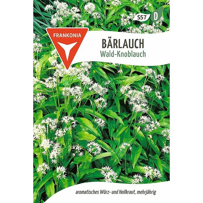 Frankonia Samen Saatgut Bärlauch, Wald-Knoblauch - Aium fistuosum - Frankonia Bärlauch (Waldknoblauch) Pflanze mit grünen Blättern und weißen Blüten. Ein aromatisches, mehrjähriges Würz- und Heilkraut.