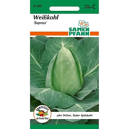 Samen Pfann  Saatgut Weißkohl, Filderkraut, Spitzkohl, Express
