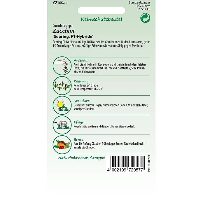 Samen Pfann Saatgut Zucchini, Sebring F1 - Cucurbita pepo, var. Sebring F1, 1,6 g - Saatgutpackung für Zucchini 'Sebring F1-Hybride' mit Pflanzanleitung und Barcode.