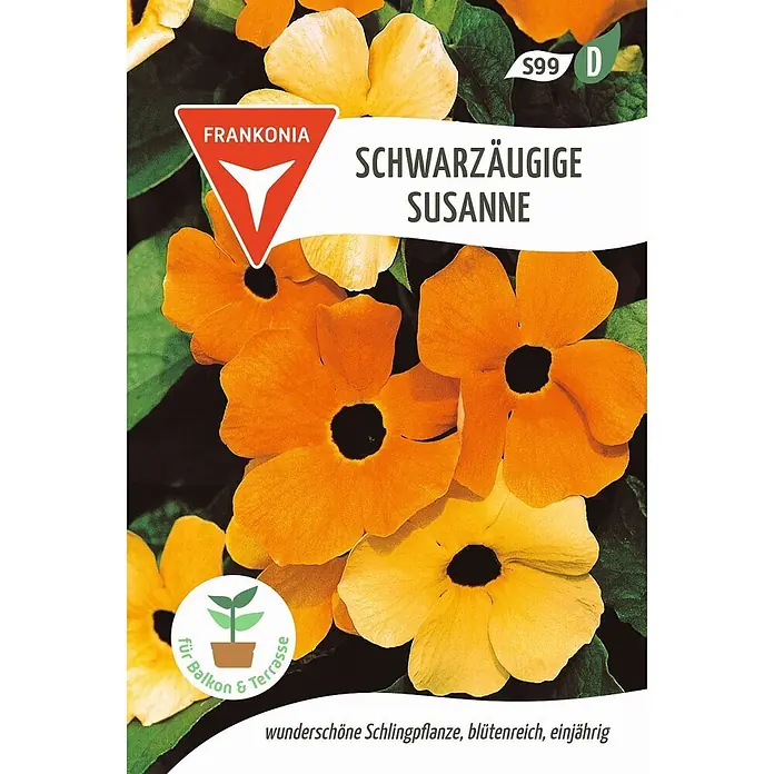 Frankonia Samen Saatgut Schwarzäugige Susanne - Thunbergia alata, 1,47 g - Leuchtend orange und gelbe Schwarzäugige Susanne Blüten mit dunkler Mitte und grünen Blättern, eine Kletterpflanze.