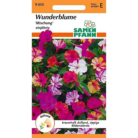 Samen Pfann  Saatgut Wunderblume, Mischung