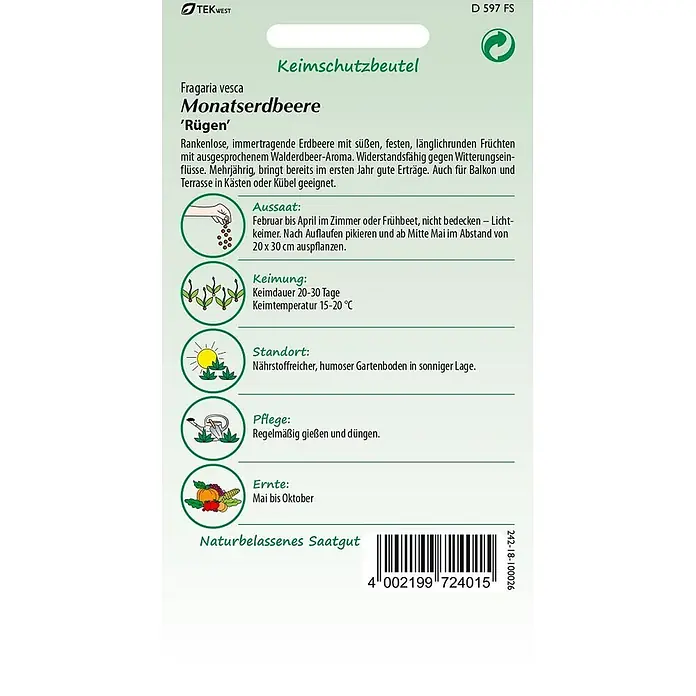 Samen Pfann Saatgut Monatserdbeere, Rügen (Walderdbeere) - Fragaria vesca, 1,6 g - Samenpäckchen für Monatserdbeere 'Rügen' (Fragaria vesca) mit Anweisungen zum Anbau.