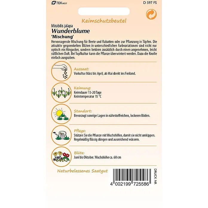 Samen Pfann Saatgut Wunderblume, Mischung - Mirabilis jalapa - Mirabilis jalapa Wunderblume Saatgutpackung mit Pflanzanleitung und Barcode.