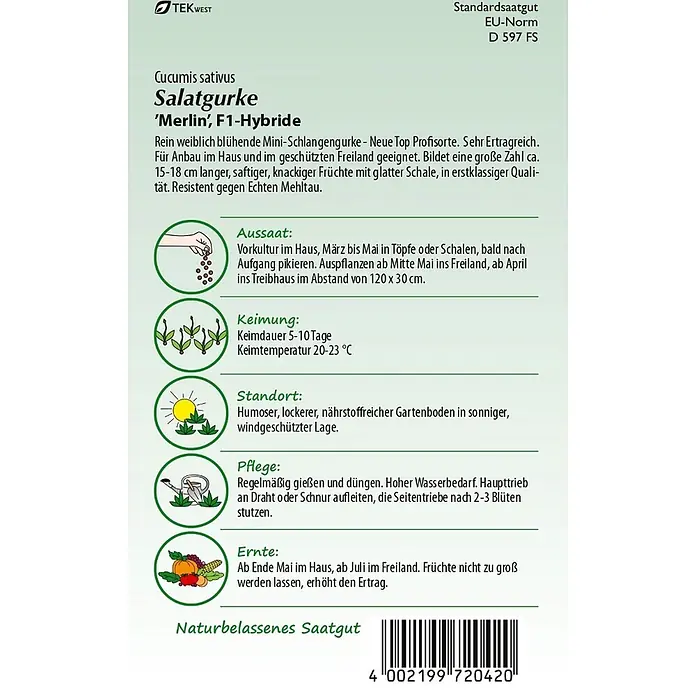 Samen Pfann Saatgut Salatgurke, Merlin F1 - Cucumis sativus, 1,6 g - Informationsblatt für Salatgurke 'Merlin' F1-Hybride mit Aussaat-, Pflege- und Ernteanleitung, plus Barcode.