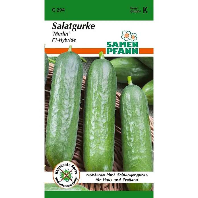 Samen Pfann Saatgut Salatgurke, Merlin F1 - Cucumis sativus, 1,6 g - Samenpäckchen für resistente Mini-Schlangengurke 'Merlin' F1-Hybride für Haus & Freiland.