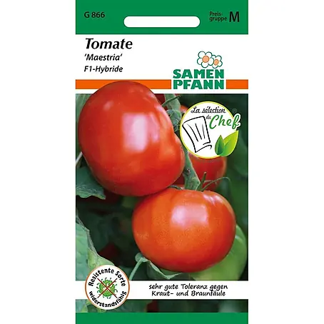 Samen Pfann  Saatgut Tomate, Maestria F1 (Bester Geschmack)