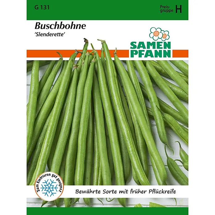 Samen Pfann Saatgut Buschbohne, Slenderette - Phaseolus vulgaris, 5,6 g - Haufen frischer grüner Buschbohnen 'Slenderette', zum Einfrieren und frühen Ernten geeignet.