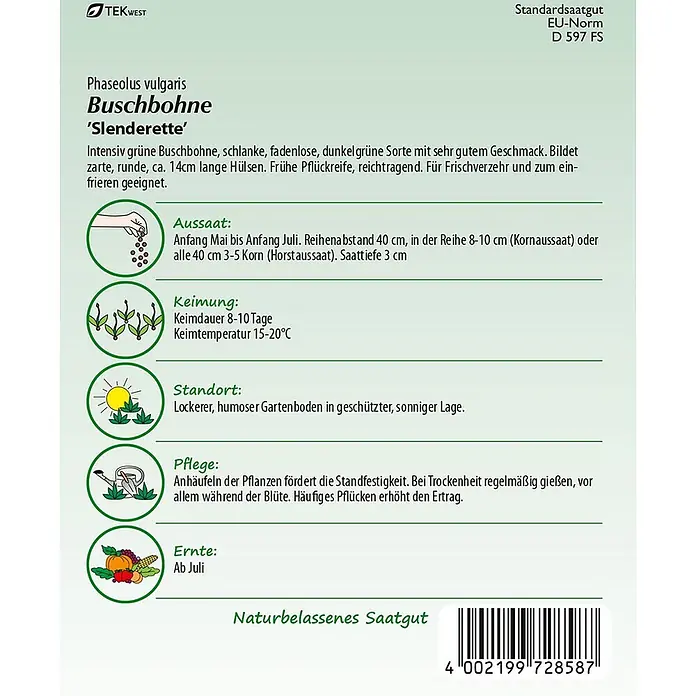 Samen Pfann Saatgut Buschbohne, Slenderette - Phaseolus vulgaris, 5,6 g - Grünes und weißes Samenpäckchen für 'Slenderette' Buschbohnen, mit Pflanzanleitung und Illustrationen.