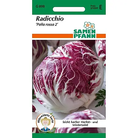 Samen Pfann  Saatgut Radicchio, Palla Rossa