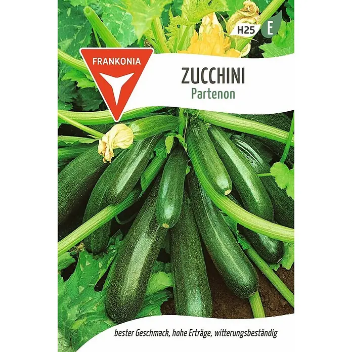 Frankonia Samen Saatgut Zucchini, Partenon F1 - Cucurbita pepo - Grüne Zucchini 'Partenon' Pflanzen mit vielen Früchten, bekannt für besten Geschmack, hohe Erträge und Witterungsbeständigkeit.