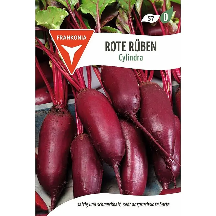 Frankonia Samen Saatgut Rote Rübe, Cylindra (Rote Beete Bete) - Beta vulgaris, 1,73 g - Frische, lange, dunkelrote Rote Rüben 'Cylindra' mit grünen Blättern, saftig, schmackhaft und anspruchslos.