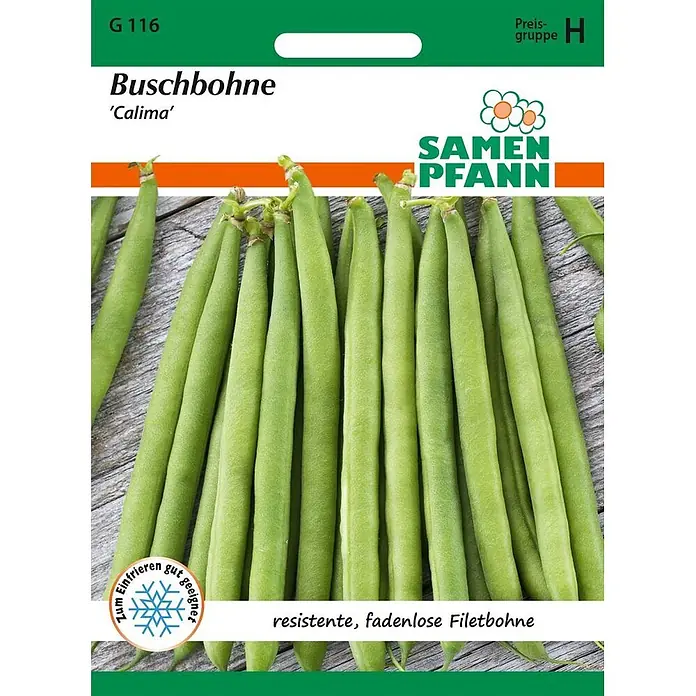 Samen Pfann Saatgut Buschbohne, Calima (Filetbohne) - Phaseolus vulgaris, 6,2 g - Samenpackung Buschbohne 'Calima' mit frischen, grünen, fadenlosen Filetbohnen, zum Einfrieren geeignet.