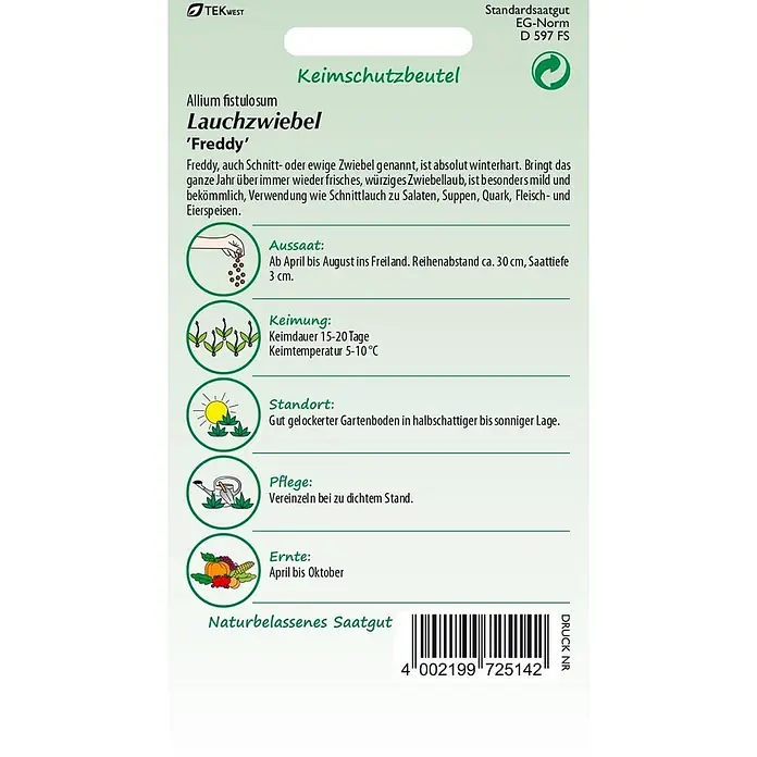 Samen Pfann Saatgut Lauchzwiebel, Winterhecke, Freddy - Allium fistulosum, 1,6 g - Samentüte für Lauchzwiebel 'Freddy', mit Pflanzanleitung und Barcode.