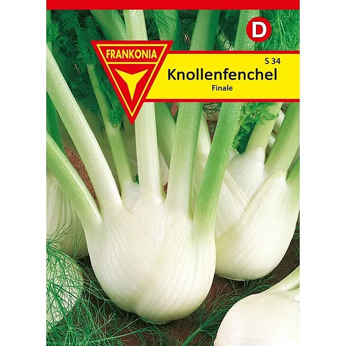 Frankonia Samen Saatgut Knollenfenchel, Finale - Foenicuum vugare, 1,48 g - Weiße Knollenfenchel mit grünen Stielen und Blättern, im Boden wachsend.
