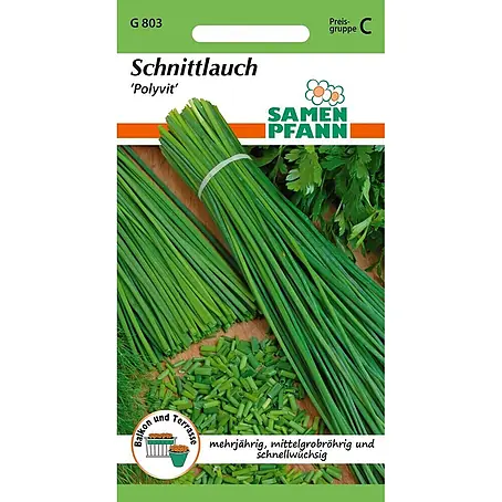 Samen Pfann  Saatgut Schnittlauch, Polyvit