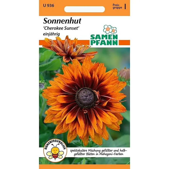 Samen Pfann Saatgut Sonnenhut, Cherokee Sunset - Rudbeckia hirta, 1,6 g - Samen Pfann Samentüte für Sonnenhut 'Cherokee Sunset', zeigt eine große orange-mahagonifarbene Blüte. Einjährig und bienenfreundlich.