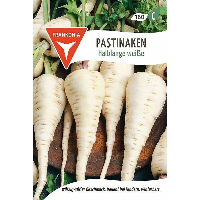 Frankonia Samen Saatgut Pastinaken, Halblange weiße - Pastinaca sativa, 1,53 g - Mehrere halblange weiße Pastinaken mit feinen Wurzelmarkierungen und grünem Laub.