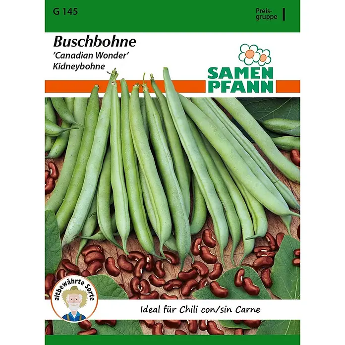 Samen Pfann Saatgut Buschbohne, Canadian Wonder - Phaseolus vulgaris, 6,2 g - Grüne Buschbohnenschoten und rote Kidneybohnen auf Holz, ideal für Chili.