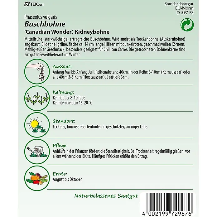 Samen Pfann Saatgut Buschbohne, Canadian Wonder - Phaseolus vulgaris, 6,2 g - Samentüte für Buschbohne 'Canadian Wonder' mit Pflanzanleitung und Produktdetails.